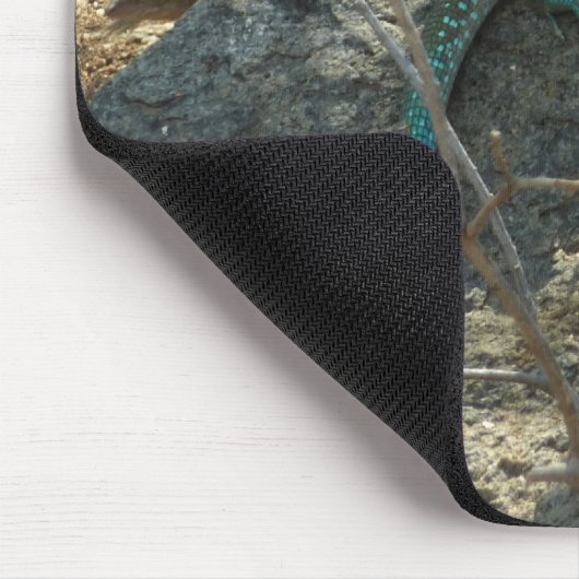 アルバンホイップテールリザード熱帯動物写真 マウスパッド (コーナー)