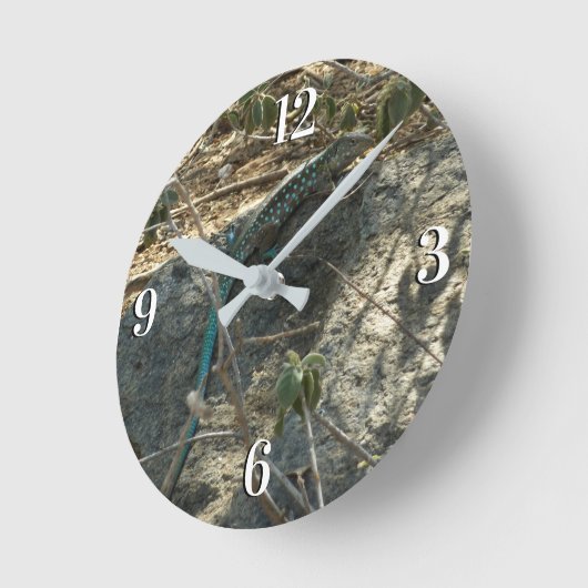 アルバンホイップテールリザード熱帯動物写真 ラウンド壁時計 (傾斜)