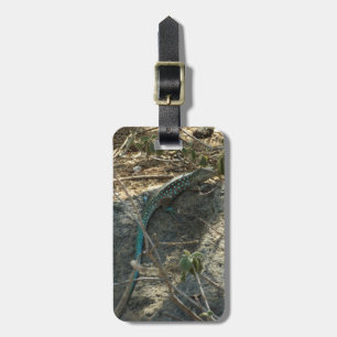 アルバンホイップテールリザード熱帯動物写真 ラゲッジタグ