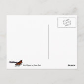 アルバン海岸のロックモニュメント ポストカード (裏面)