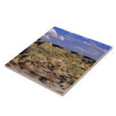 アルバータの恐竜省公園のバドランズ2 タイル (側面)