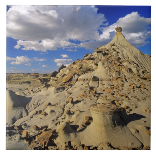 アルバータの恐竜省公園のバドランズ， 3 タイル (正面)