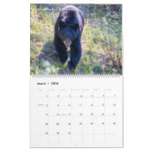 アルバータ州(カナダ) – ジャスパー国立公園へのバンフ カレンダー (3月 2026)