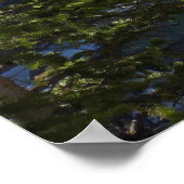 アルバータ秋I ポスター (角)