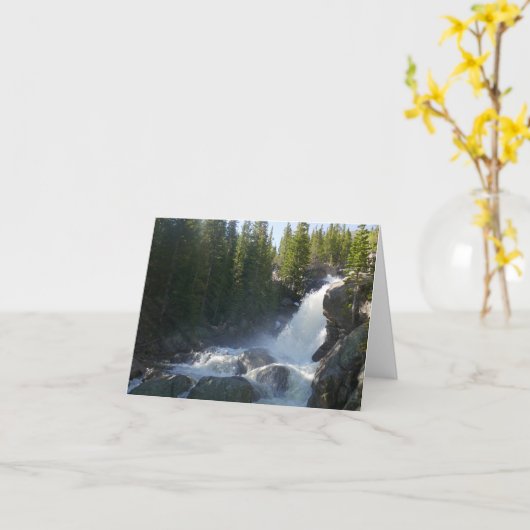 アルバータ秋II カード (黄色い花)