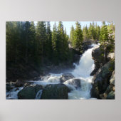 アルバータ秋II ポスター (正面)