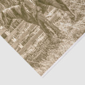 アルバータ・カウボーイ 薄葉紙 (詳細)