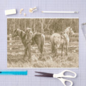 アルバータ・カウボーイ 薄葉紙 (クラフト)