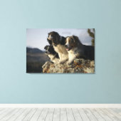 アルバータ、カナダ2 キャンバスプリント (インサイチュ (ウッドフロア))