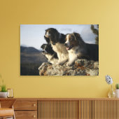 アルバータ、カナダ2 キャンバスプリント (インサイチュ (リビング))