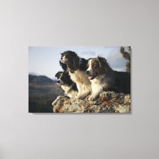 アルバータ、カナダ2 キャンバスプリント (正面)