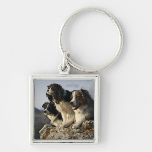 アルバータ、カナダ2 キーホルダー (正面)