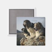 アルバータ、カナダ2 マグネット (正面/裏面)