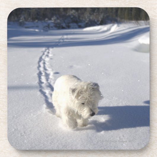 アルバータ、カナダ コースター (正面)