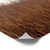 アルバート感動的シュバイツァー引用文「真実」 ポスター (角)