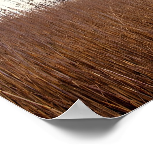 アルバート感動的シュバイツァー引用文「真実」 ポスター (角)