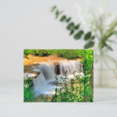 アルバート滝、トーマス、ウェストバージニア ポストカード (スタンド正面)