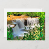 アルバート滝、トーマス、ウェストバージニア ポストカード (正面/裏面)