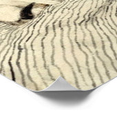 アルバート・アンカーと猫の少女 ポスター (角)