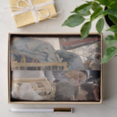 アルバート・エーデルフェルト – ルクセンブルク庭園，パリ 薄葉紙 (ギフト)