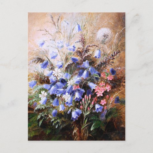 アルバート・デューラー・ルーカス:ハレボルズとケンタウリ ポストカード (正面)