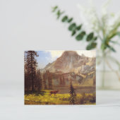 アルバート・ビエルシュタットによるワイルドコール1876-77 ポストカード (スタンド正面)