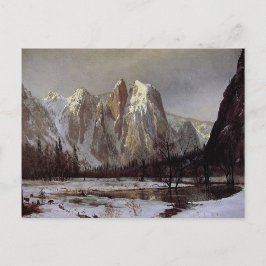 アルバート・ビエルシュタット付き絵画はがき ポストカード (正面)