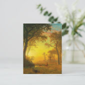 アルバート・ビエルシュタット・ライト・イン・ザ・フォレスト ポストカード (スタンド正面)