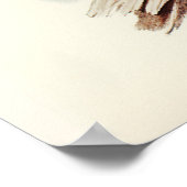 アルバート・ライレバード(メヌラ・アルベルティ図解入りの、写真付きの) ポスター (角)