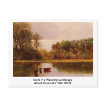 アルバートBによる散水風景の中の牛。