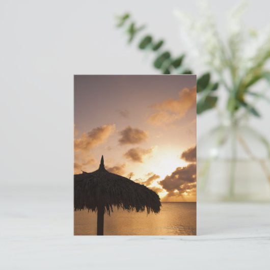 アルバ夕暮れ時のパラパのビーチのシルエット ポストカード (スタンド正面)