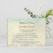 アルバ島のウミガメ モダンな沿岸の海辺 セーブザデート (スタンド正面)