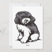 アルバ島旅行ポスター シーズンカード (裏面)