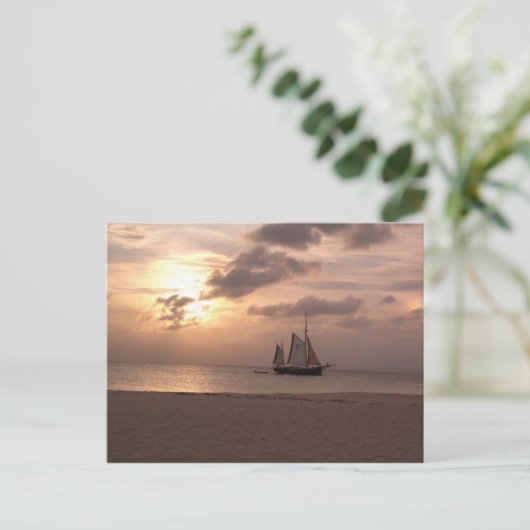 アルバ島 ポストカード (スタンド正面)