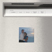 アルバ2008 マグネット (インサイチュ (食洗機))