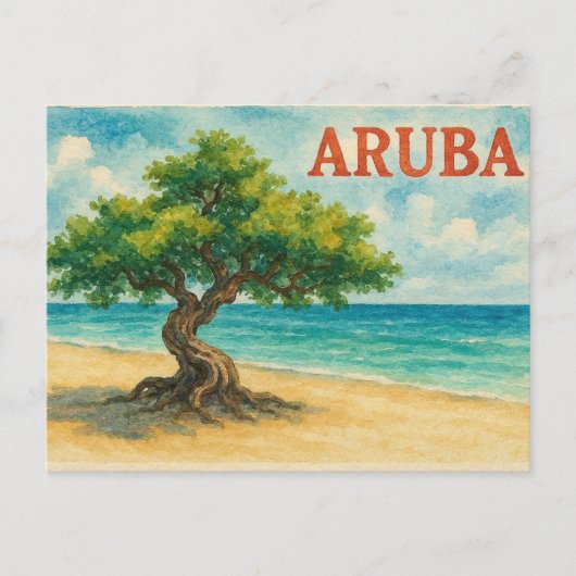 アルバ・ディヴィ・ツリー・イーグル・ビーチの水彩画 ポストカード (正面)