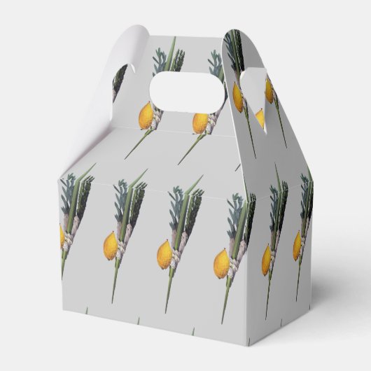 アルバ・ミニム – ルラフ、エスログ、ハダス、アラバ フェイバーボックス (裏面サイド)