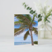アルバ、ヤシの木オンビーチ ポストカード (スタンド正面)