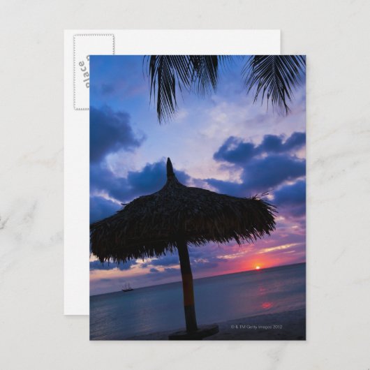 アルバ, 日没の浜辺に佇むパラパのシルエット 2 ポストカード (正面/裏面)