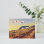 アルバ – Divi Divi Trees ポストカード (スタンド正面)