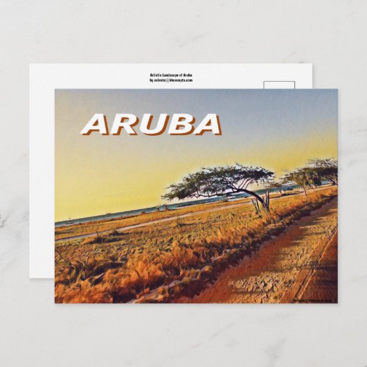 アルバ – Divi Divi Trees ポストカード (正面/裏面)