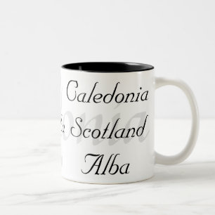 アルバCaledoniaスコットランド ツートーンマグカップ