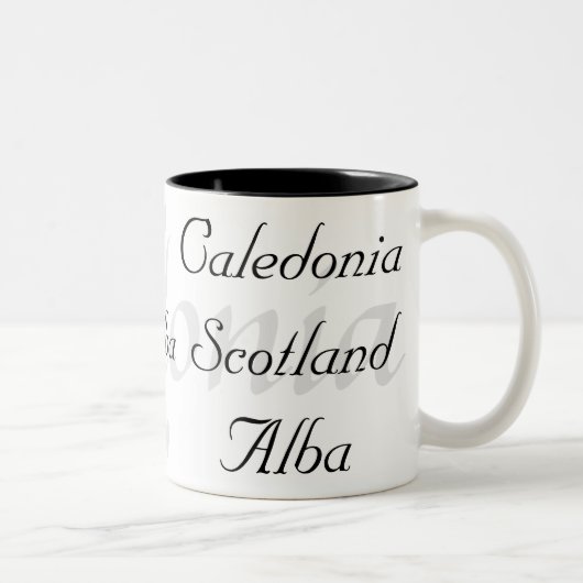 アルバCaledoniaスコットランド ツートーンマグカップ (右)