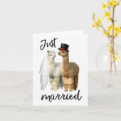 アルパおもしろいカのシャツの新郎新婦結婚の_1 カード (黄色い花)