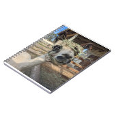 アルパおもしろいカノート ノートブック (左側)