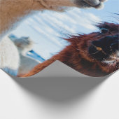 アルパおもしろいカ3 ラッピングペーパー (角)