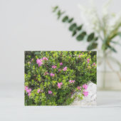 アルパインの油絵のバラシャクナゲ ポストカード (スタンド正面)