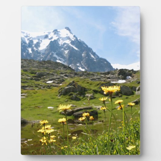 アルパインの花 – 美しい！ フォトプラーク (正面)