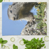 アルパインの若いマーモット キッチンタオル (折り畳み)