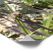 アルパインの若いマーモット ポスター (角)